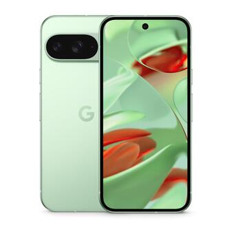 Смартфон Google Pixel 9 12/128Gb Sim+eSim, US, Wintergreen, Зеленый