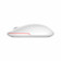 Беспроводная компактная мышь Xiaomi Mi Wireless Mouse 2, белый Беспроводная компактная мышь Xiaomi Mi Wireless Mouse 2, белый
